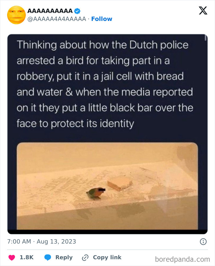 Cursed meme of a bird arrested by Dutch police with black bar over face in jail cell with bread and water.