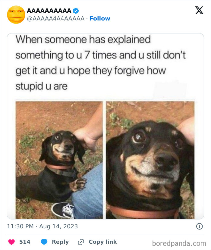 Dog with a silly grin, captioned about misunderstanding explanations, representing a cursed meme.