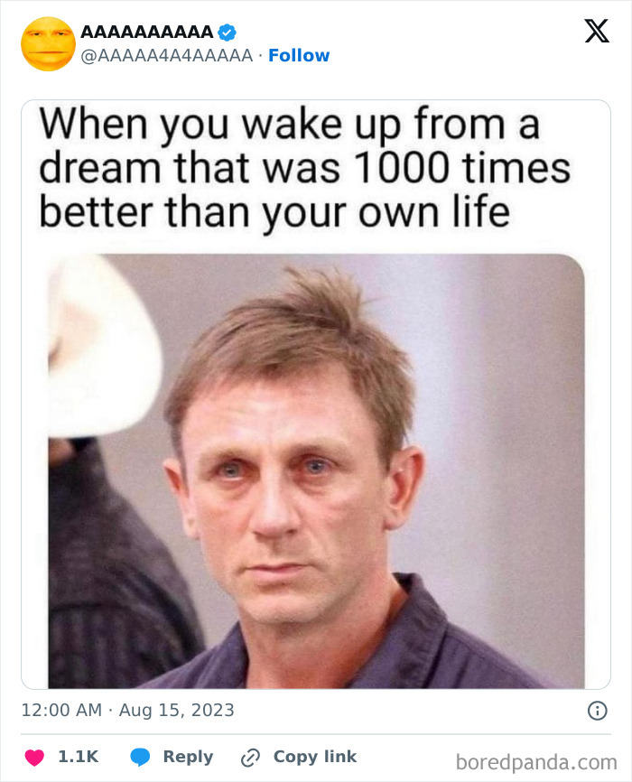 Man with a tired expression and text about waking from a better dream, part of a collection of hilariously cursed memes.