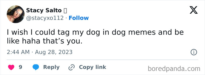 Hilarious-Sarcastic-Memes