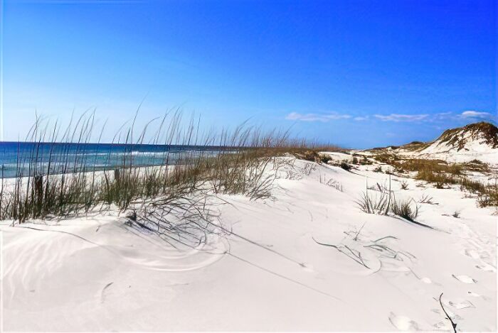 Destin, Florida Seaoats