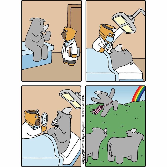 23 Comics Where Doctor Bears Will Make Your Day Better