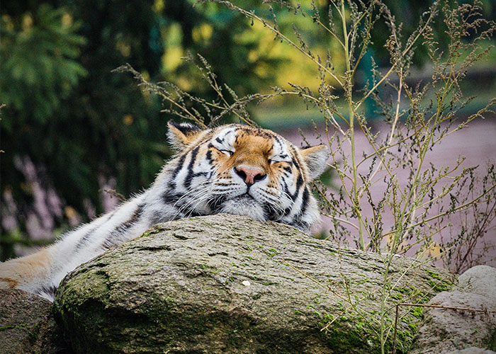 45 Hard-To-Believe Facts That Make People Reevaluate Their View Of The World