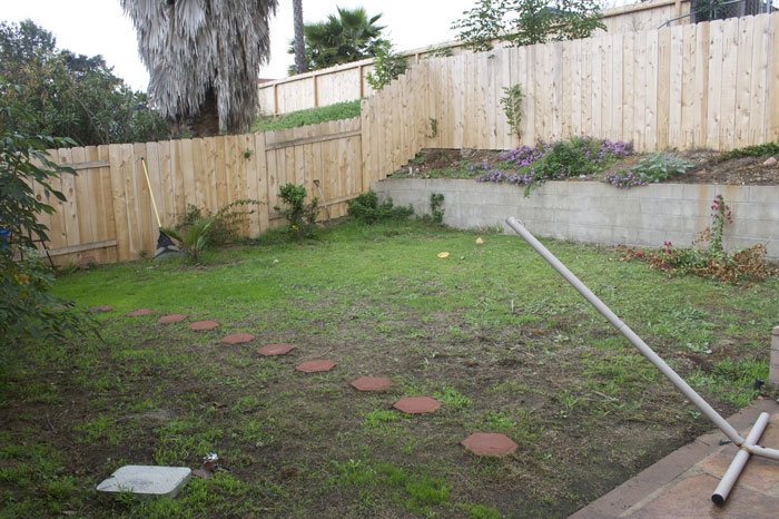 "Neighbor Doesn't Like Me Using My Own Garden"