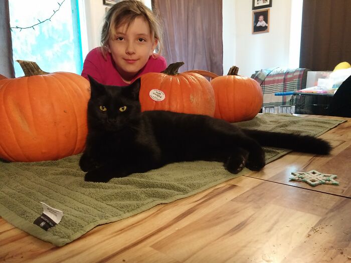 Little Mac: The Tiny Terror Who Grew Big