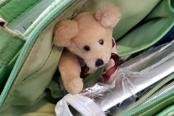 My Travel Buddy In My Purse