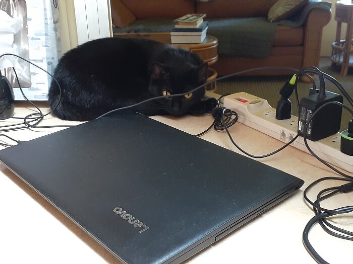 Keeping Her Eye On Me . . . To Make Sure I Work Enough To Keep Her In The Style To Which She's Become Accustomed!