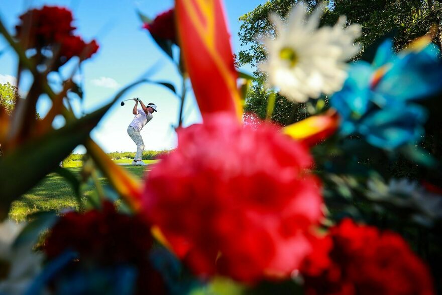 Golf - Category Winner, Silver: "Mayakoba" By Héctor Vivas