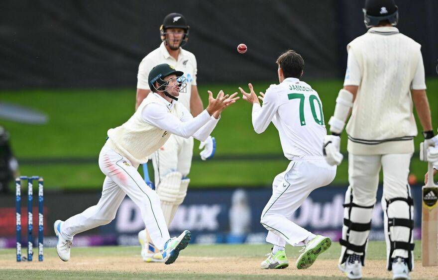 Cricket - Category Winner, Bronze: "Catch It!" By Andrew Cornaga