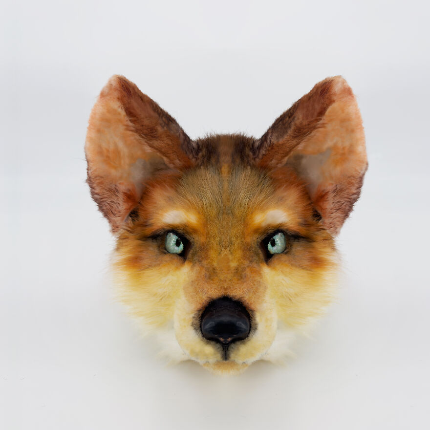Fox Fursuit Handmade
