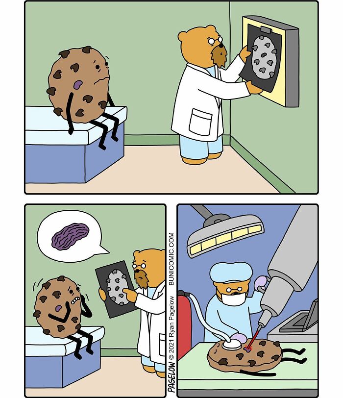 23 Comics Where Doctor Bears Will Make Your Day Better