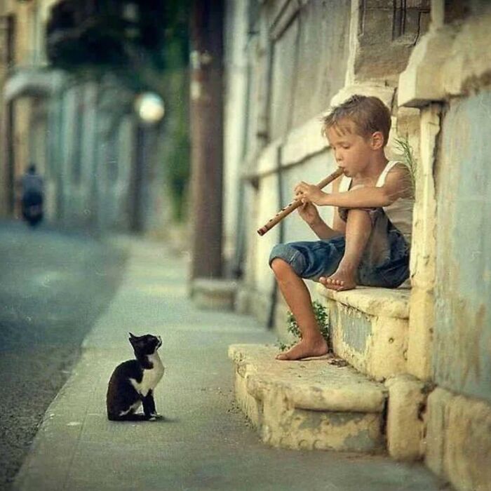 I Collected The Best Cat Photographs From This Street Photographers Account (47 Pics)