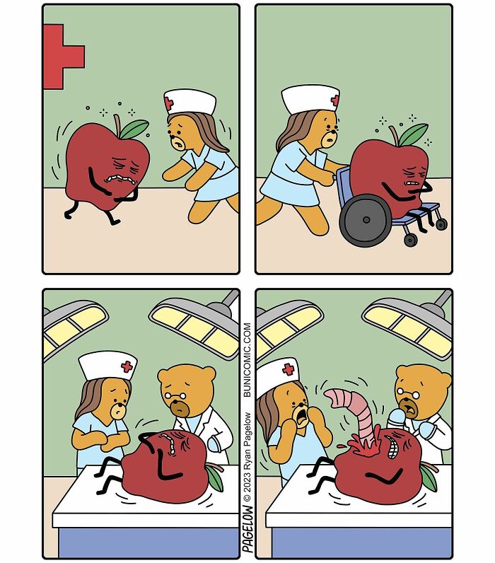 23 Comics Where Doctor Bears Will Make Your Day Better