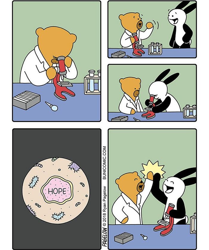 23 Comics Where Doctor Bears Will Make Your Day Better