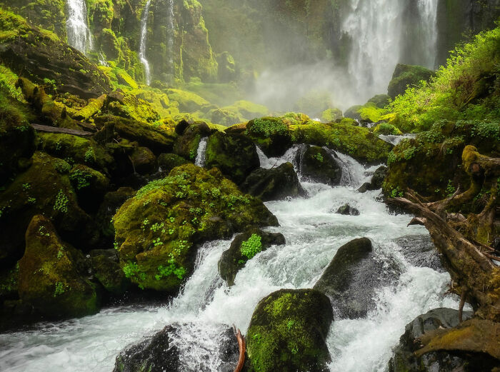 This Viral Thread Has People Pointing Out Things People Should Avoid Like The Plague (43 Answers)