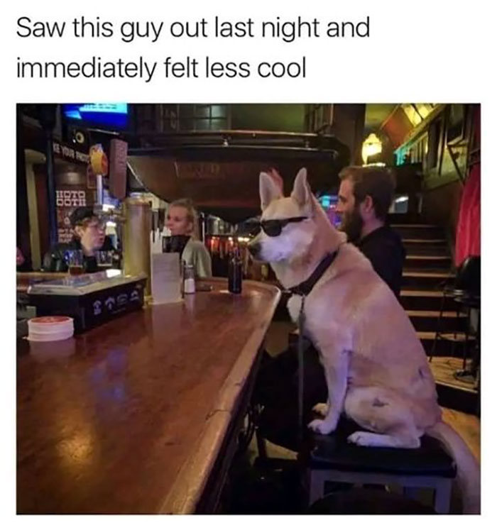 😂😂