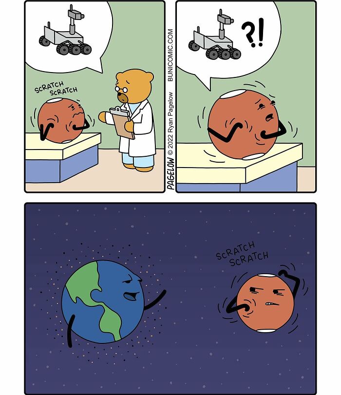 23 Comics Where Doctor Bears Will Make Your Day Better