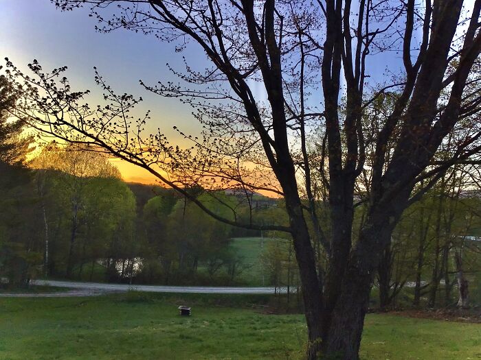 Taken On Mt Holly On The Farm In Vermont