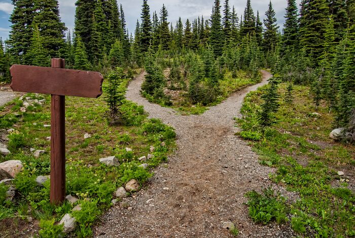 Forked forest trail with wooden signpost, symbolizing deep thoughts shared in an online group discussion.