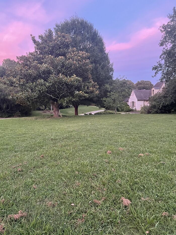 Does A Sunset Count?