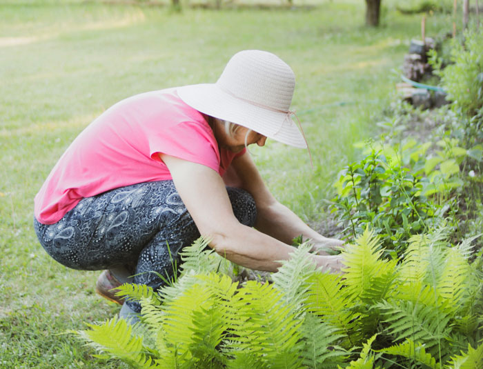 Family Drama Ensues As Entitled Woman Uproots Nice Magnolia Tree In Her Nephew's Garden