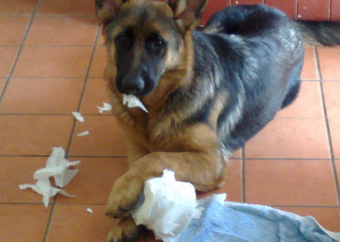 Teen Snaps At Dad After He Mansplained How She Should Handle Her Period