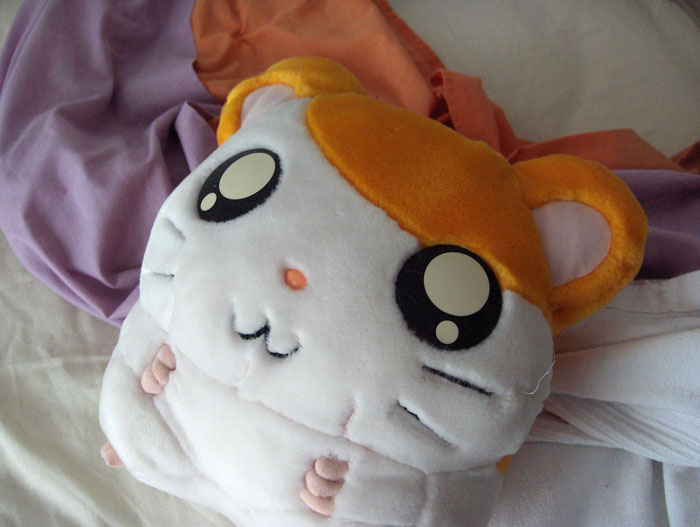 Parent Won&rsquo;t Make Son Change Hamster's Name Which SIL Wants For Her Child, She Absolutely &ldquo;Blows Up&rdquo;