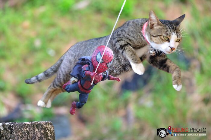 Artist Puts Baby Spider-Man And Animals In The Funniest Scenes (50 New Pics)