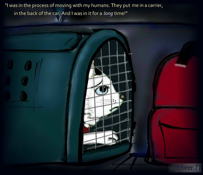 My Illustrated Comic Series Called "Dees Story..."