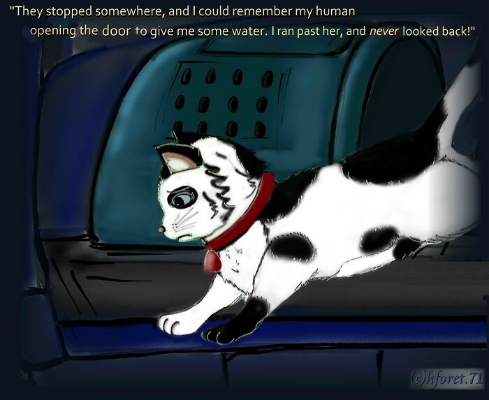 My Illustrated Comic Series Called "Dees Story..."