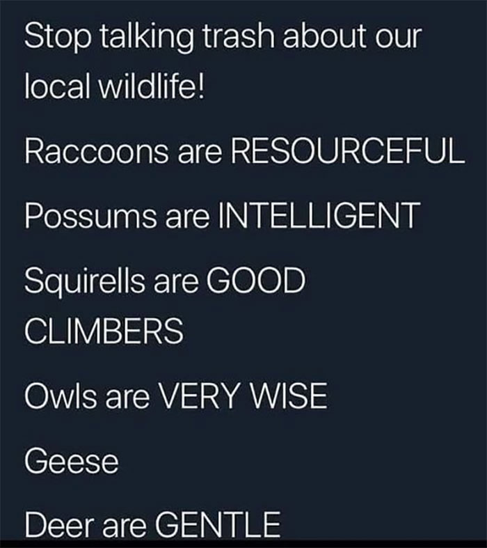 😆😆😂❤️🇨🇦 😆😆😂❤️🇨🇦
