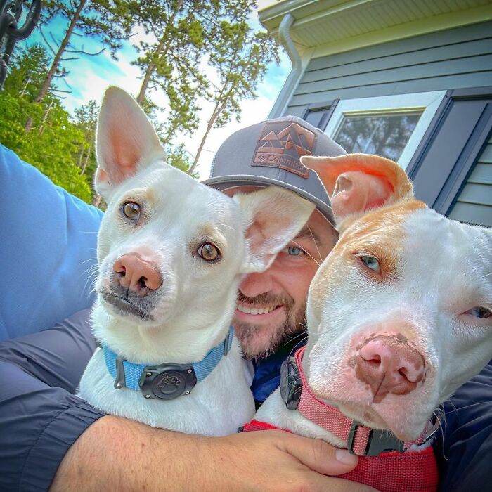 Guy Never Wanted A Dog, Now He Goes All Out For Their Birthday Pawties