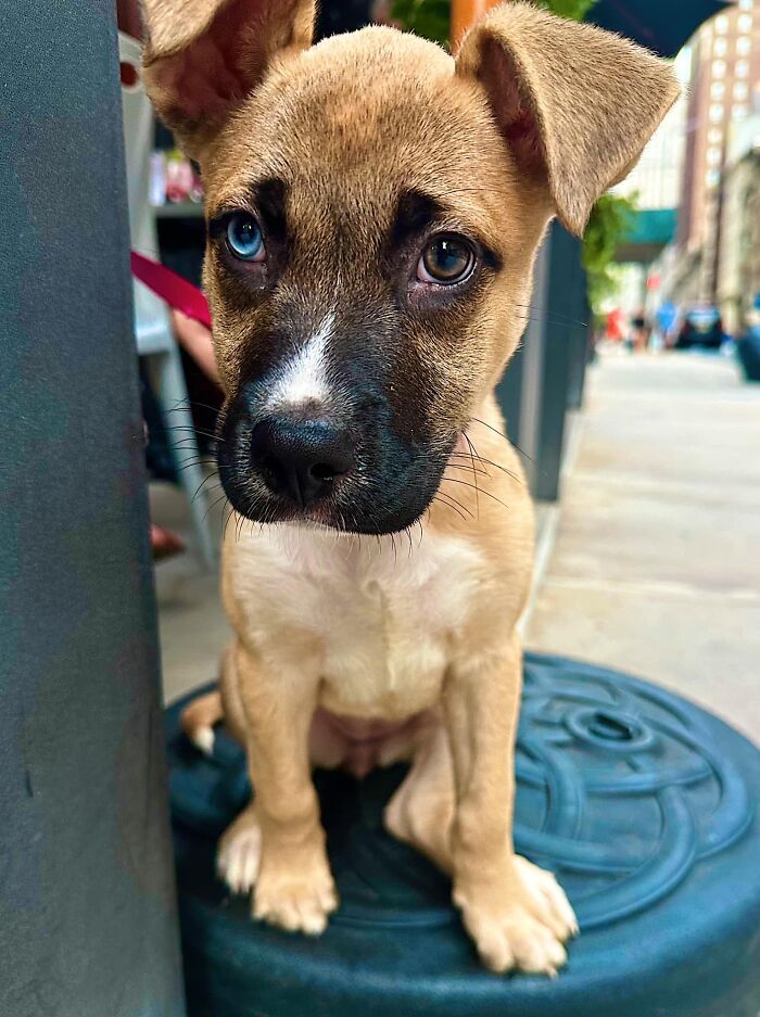 I Was Crying Bc Life Is Hard And Tiring Sometimes; Then I Saw Her And Started Crying More Bc Life Is Good And Darling Sometimes