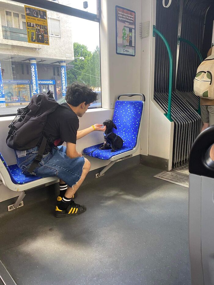 My Friend Sent Me This Pic And My Heart Melted Right Away