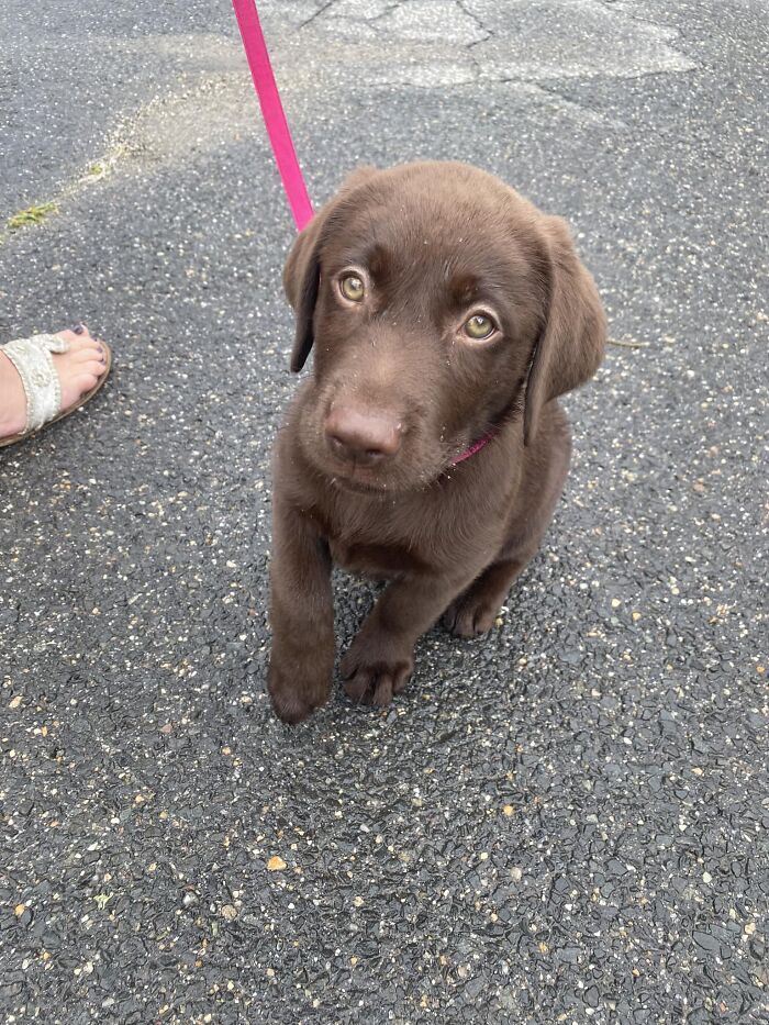 Blessing Your Feed With 9 Week Old Bean