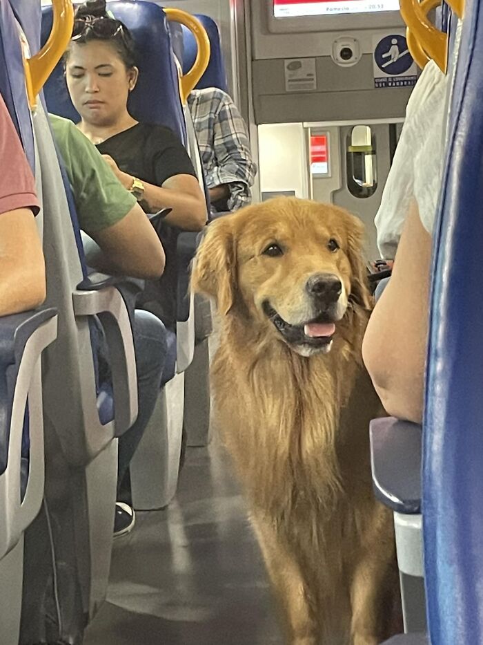 I Heard That Italy Is Famous For Its Handsome Boys But Wow