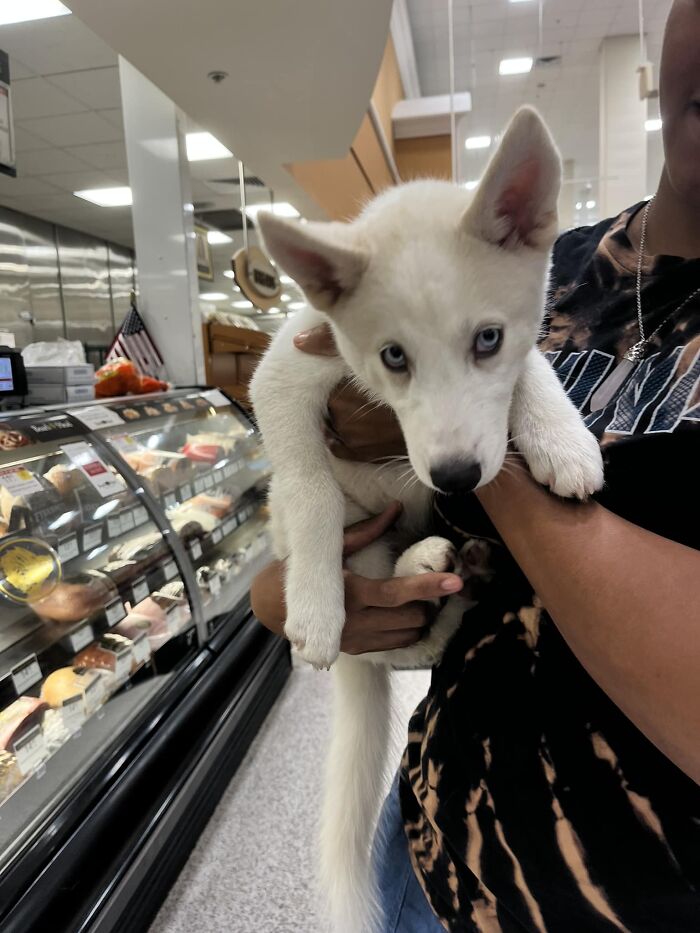 Beautiful Akira At Publix