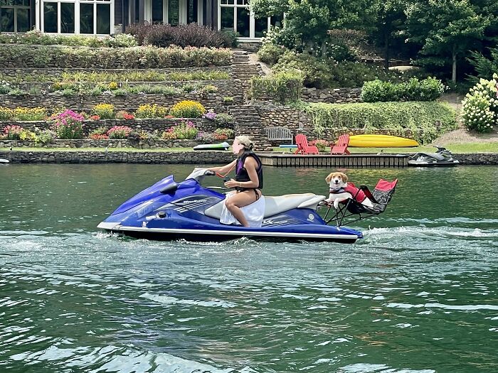 Spotted This Guy Riding The Lake In Style This Weekend