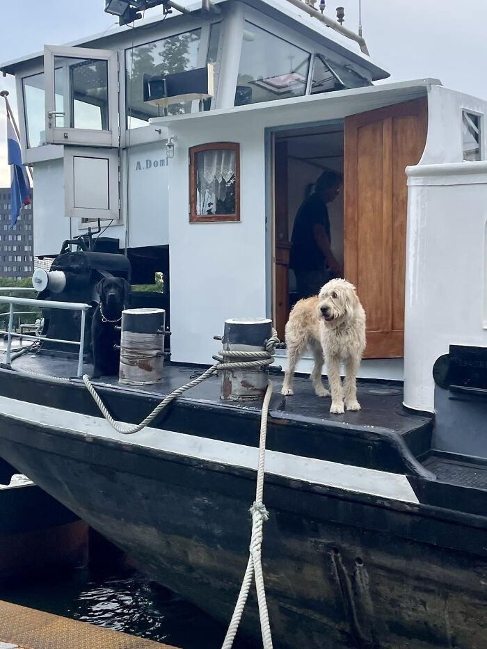 Baby On A Boat!! Edit: I Only Just Noticed That There Are In Fact 2 Babies On This Boat 🥹🥰 My Bad