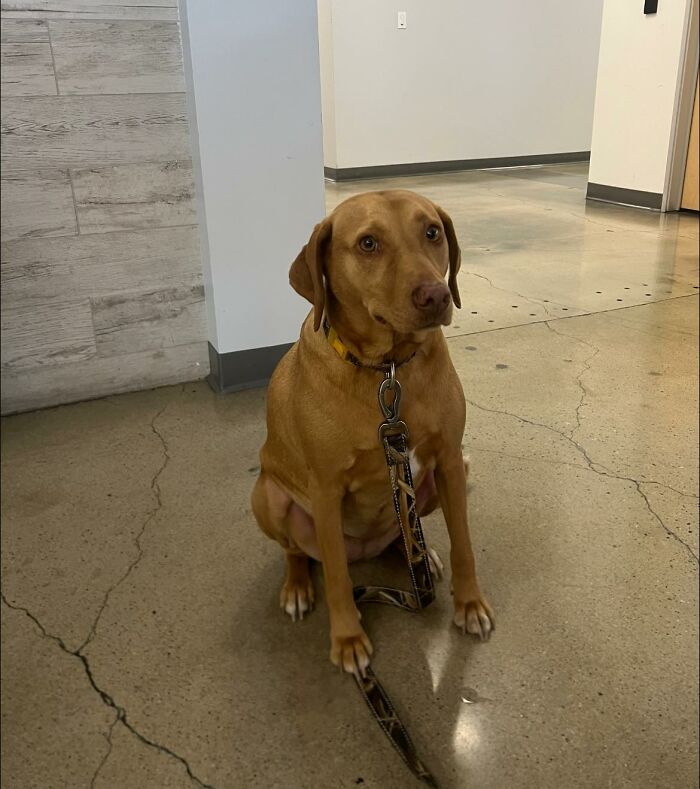 Spotted This Mysterious Girl Who Gave Me The Side Eye