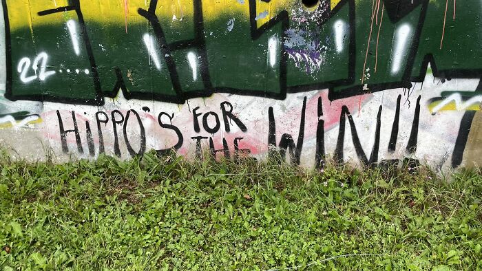 Gotta Love The Hippos. Shame About The Apostrophe