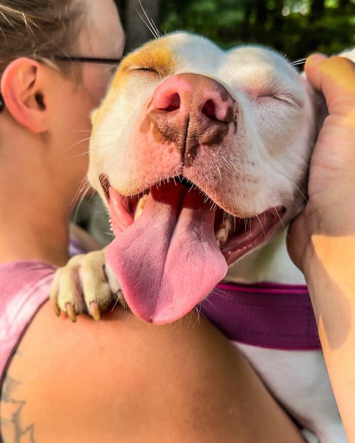 Guy Never Wanted A Dog, Now He Goes All Out For Their Birthday Pawties