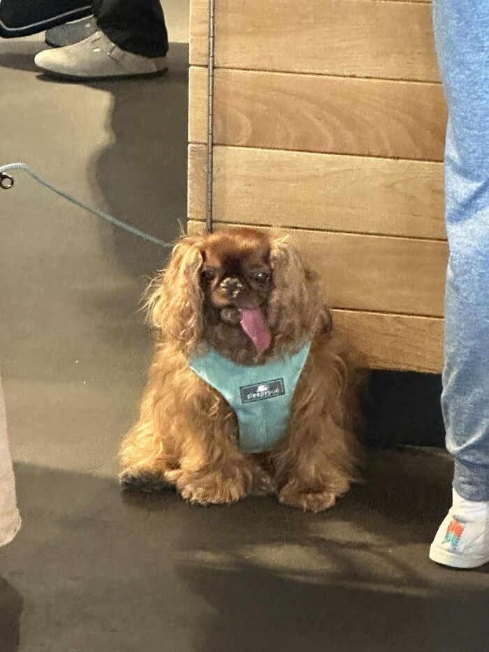 We Had To Walk A Literal Mile Inside Lax To Reach Our Gate, But I Would Have Walked 999 More If I Knew This Angel Was Waiting