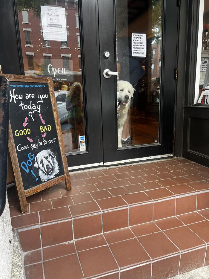 Uhm Yes Absolutely I Went In. Portland, Maine