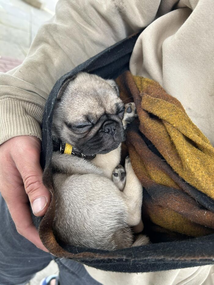 Took Everything In Me Not To Run Away With This Little Sleeping Baby