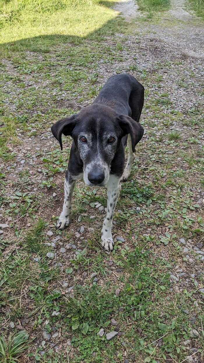 My Airbnb In The Heart Of Transylvania 🧛‍♂️🇷🇴 Comes With This 17 Year-Old Cutie