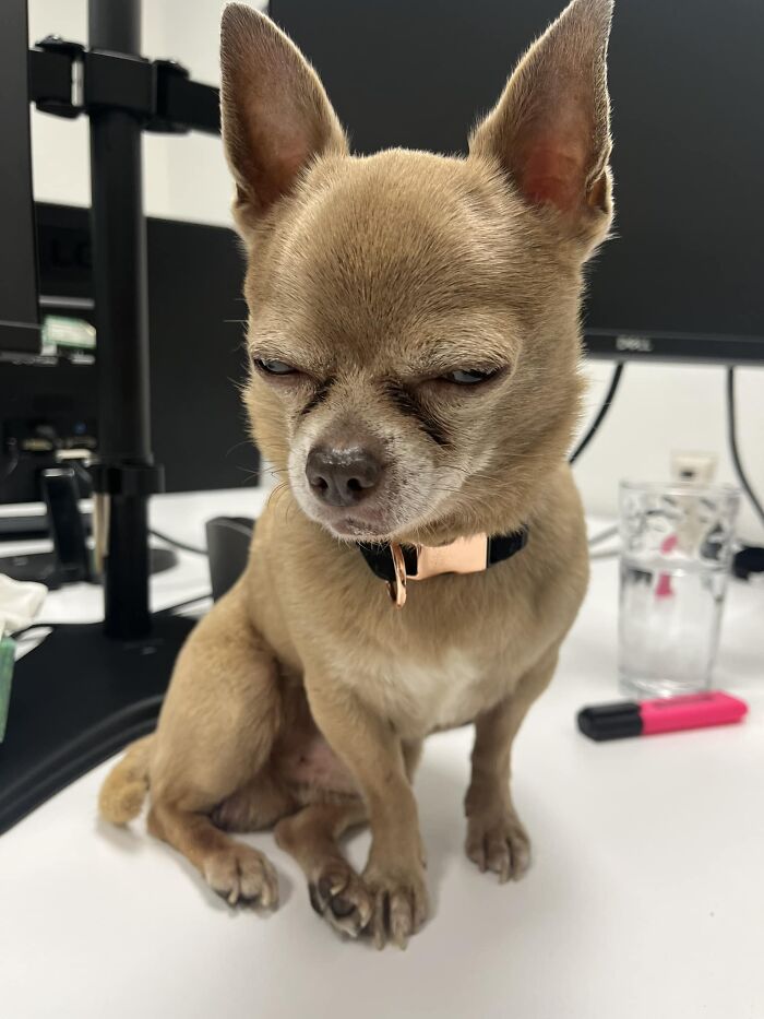 Hard Day At The Office