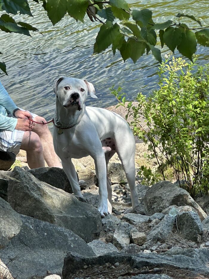 Spotted This Cutie Hanging By A River In New Hampshire