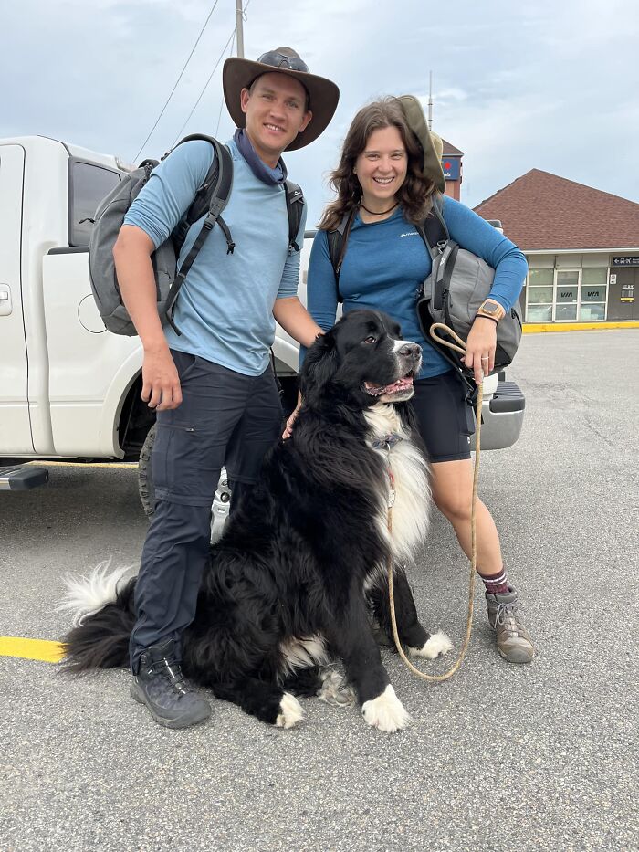 Tell Me This Isn’t The Biggest Dog You Have Seen! I Will Call Him Bear