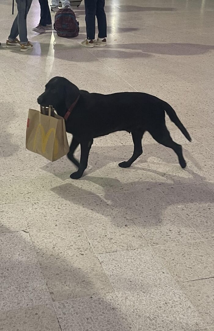 One Mcbark Please